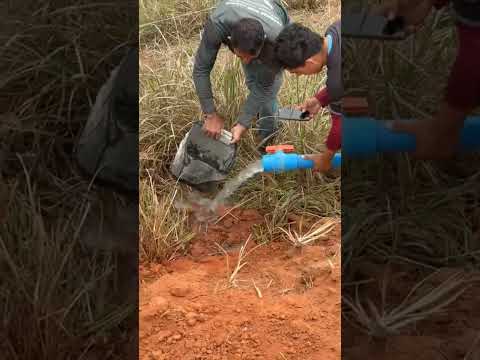 campo forte irrigação Afonso Cláudio ES 🤝