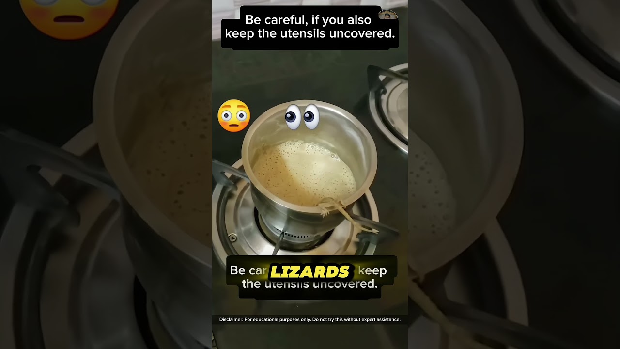 Beware! Hidden Dangers of Uncovered Kitchen Utensils, Protect Your Food 😲 #respect #ytshorts