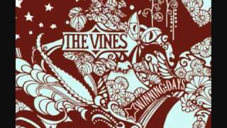 The Vines - Animal Machine (Subtitulada)