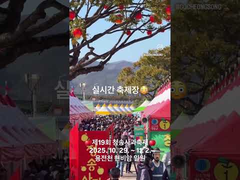 제19회 청송사과축제 멋진 마무리✨