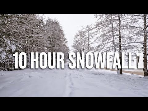 10 Hours of Winter Forest ❄️🌲 | Ultimate Snowfall Relaxation