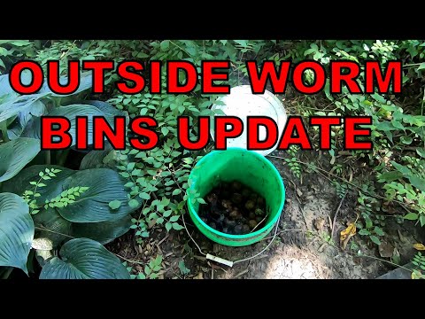 OUTSIDE WORM TOWER /WORM BIN UPDATE