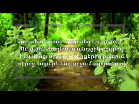 Օրհնված ջուրն է իջնում երկնքից // Armen Sargsyan