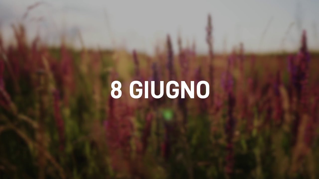 8 Giugno 2025 | Meditazione Parole di Vita