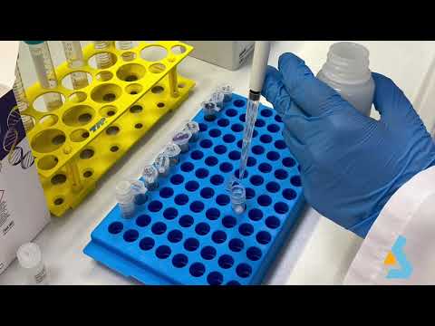 02 - DNA Isolation from bacterial culture