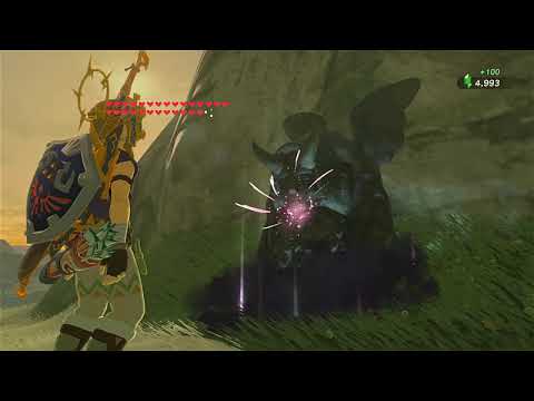 How to Get Max Hearts and Stamina at the Same Time in Zelda Breath of the Wild!