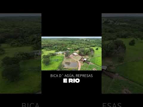 FAZENDA PRONTA. PRODUTIVA. -Tesouro-MT