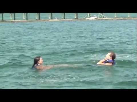 B+C Dolphin Excellence