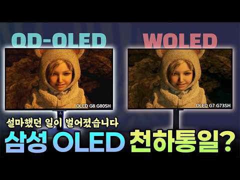 삼성 OLED가 올해 진짜 무서운 이유