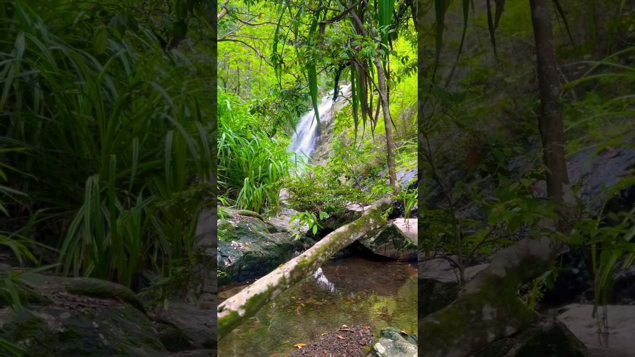 YouTube Short thumbnail