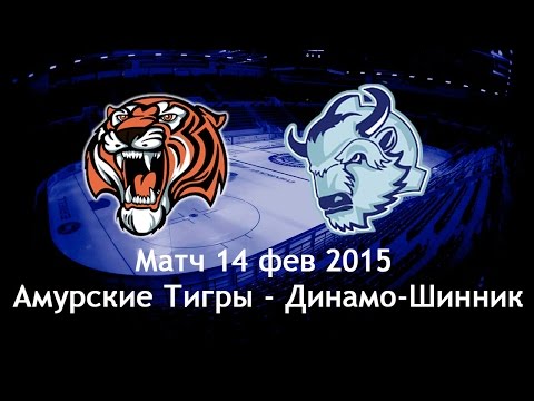 Амурские тигры ска. Амурские тигры прогноз на матч. Амурские тигры прогноз на матч. Амурские тигры прогноз на матч. Амурские тигры хоккейный клуб.