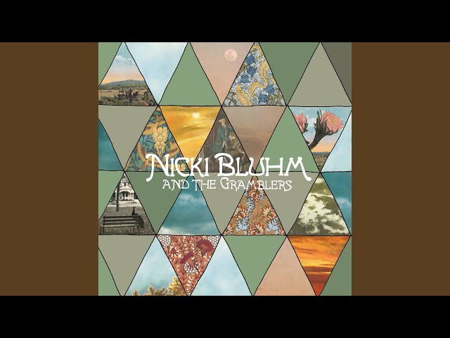 Nicki Bluhm & The Gramblers - Go Go Go (CBM) (Remix Stems)