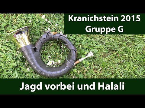Jagd vorbei und Halali „Das Große Freie“ - Kranichstein 2015
