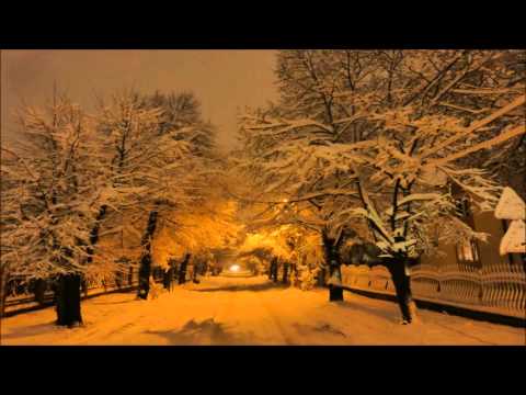 Andrew Rayel & Digital X feat. Sylvia Tosun - Winterburn