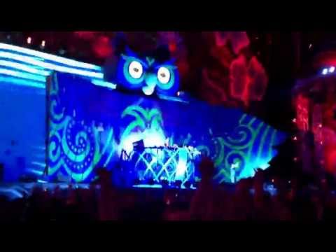 Nicky Romero @ EDC 2013