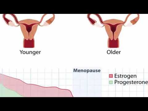 Tomber enceinte pendant la ménopause. Est-ce POSSIBLE? Santé Parfaite & Divertissement Video