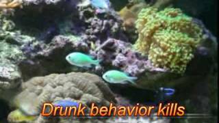 Top 5 songs 2009 Preview - Reh Dogg