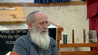 קֹדֶשׁ יִשְׂרָאֵל לַיהוָה רֵאשִׁית תְּבוּאָתֹה – שיעור 96 ספר במדבר