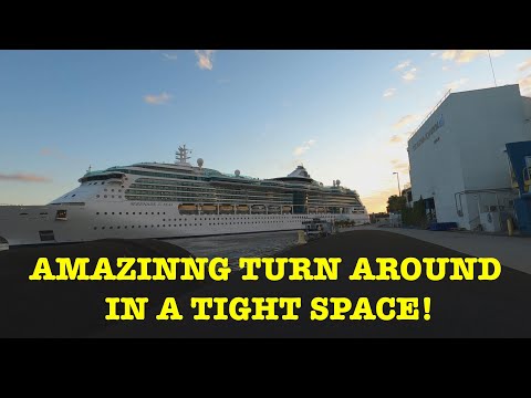 image-What cruise ship goes out of Tampa?