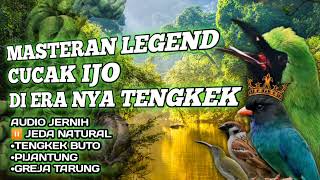 Download lagu MASTERAN TEMBAKAN KASAR CUCAK IJO TENGKEK BUTO,PIJANTUNG,GREJA #cucakijo #cucakijogacor #kicaumania mp3 Download lagu MASTERAN TEMBAKAN KASAR CUCAK IJO TENGKEK BUTO,PIJANTUNG,GREJA #cucakijo #cucakijogacor #kicaumania mp3