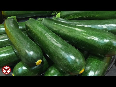Fruits Vegetables 水果蔬菜 How to pronounce zucchini 西葫芦,ズッキーニ,ウリカボチャ,주키니호박courgette,zucchine,calabacín,
