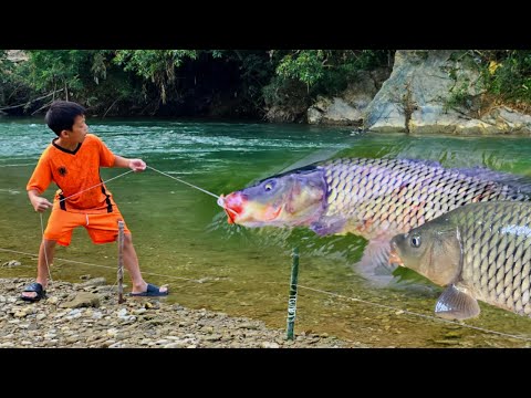 FULL VIDEO 15 day: The story of a wandering boy named Bac and the skill of catching giant fish.