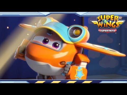 Witness21 Editor  2022 02 19