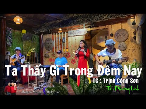 Ta Thấy Gì Trong Đêm Nay | TG Trịnh Công Sơn | Phương Linh giao lưu Bolero Mái Lá - Hát Live