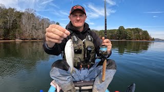 Catfishing the Shad Kill | Small Baits = BIG Results