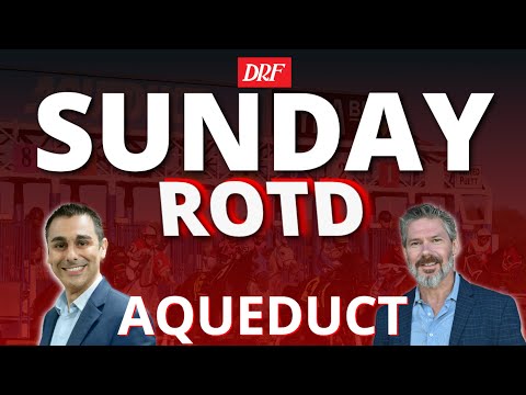 Awad Stakes at Aqueduct | DRF Sunday Race of the Day | November 9, 2025