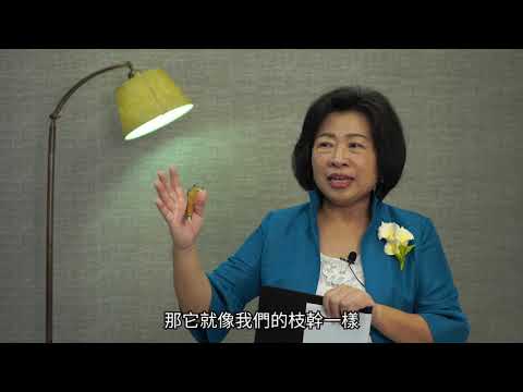 性平數位教材14【點亮性平，婦女的希望-CEDAW】