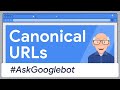 Canonical URLs How Does Google Pick The One