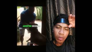 Download lagu #puppy #rescue #pets mp3