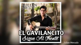 El Gavilancito Lyrics English Translation