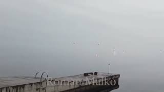 [討論] 基輔附近俄軍直升機被擊落