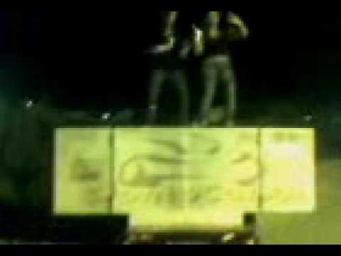 Carrocinha PontoCar.br 2