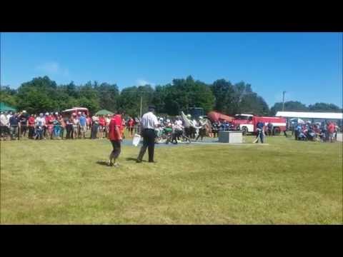 SDH Božejovice (Smrkov 5.7.2016)