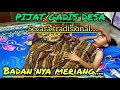 PIJAT GADIS DESA SECARA TRADISIONAL MASSAGE