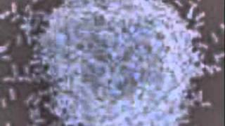 LIQUID WHEEL-URBAN HOLSTER.wmv