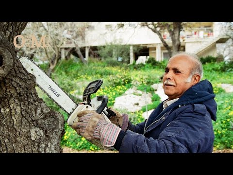 Mossad | The Spy Machine | TV Documentary Special | 1998