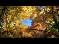 Pink Floyd - Autumn '68