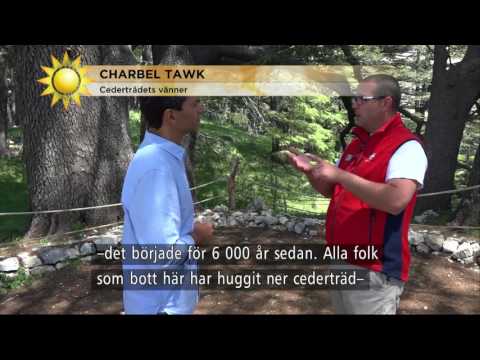 "Fantastiskt att få visa en annan bild av Mellanöstern" - Nyhetsmorgon (TV4)