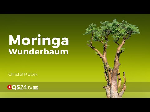 Moringa - der vitalstoffreiche Wunderbaum | NaturMedizin | QS24 Gesundheitsfernsehen