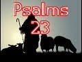 Psalms 23 | The Lord the Shepherd of His People