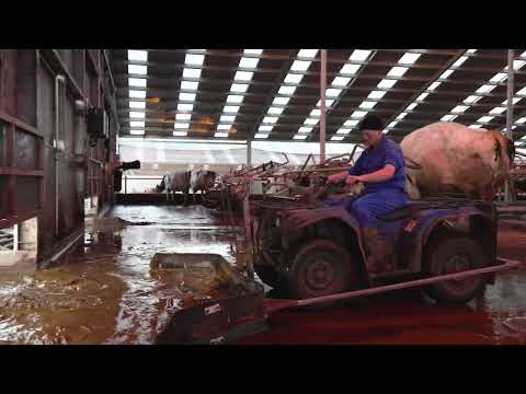 Lely Discovery Collector C2, before and after - New Zealand