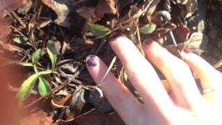 Touch - Toro y moi (unofficial) hd