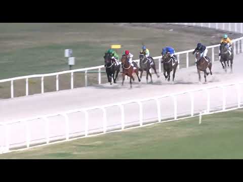 2022.04.10. 05. futam - FENÉKPUSZTAI DÍJ (III.kat.) (szintetikus pálya)