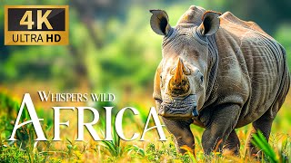 Whispers of Wild Africa 4K 🐾 Discovery Relaxation Wonderful Wildlife Film with Relaxing Piano Music