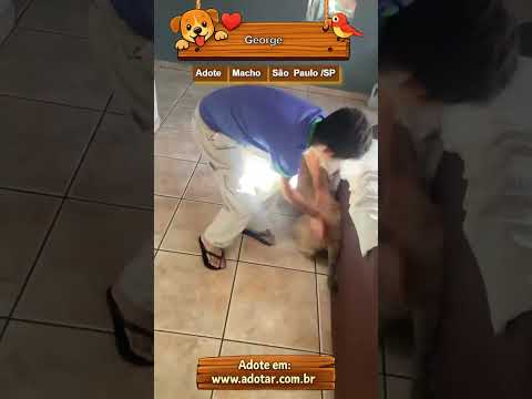 Vídeo de George