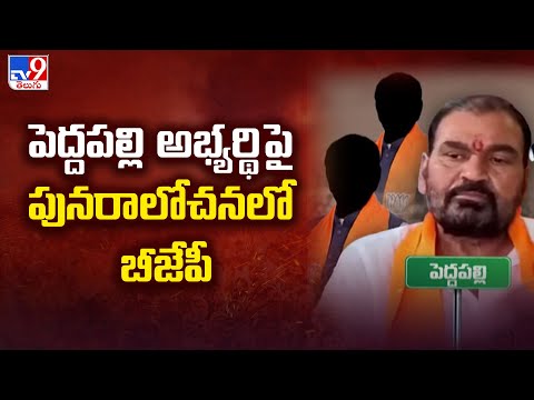 Lok Sabha Elections 2024 || పెద్దపల్లి అభ్యర్థి పై పునరాలోచనలో BJP || Gomasa Srinivas - TV9 Teluguvoice